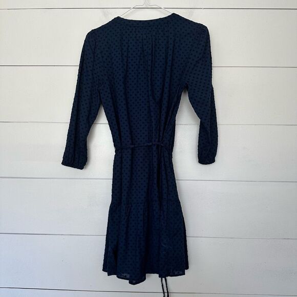 Ann Taylor Loft Women’s Small Swiss Dot Dress - Picture 5 of 6